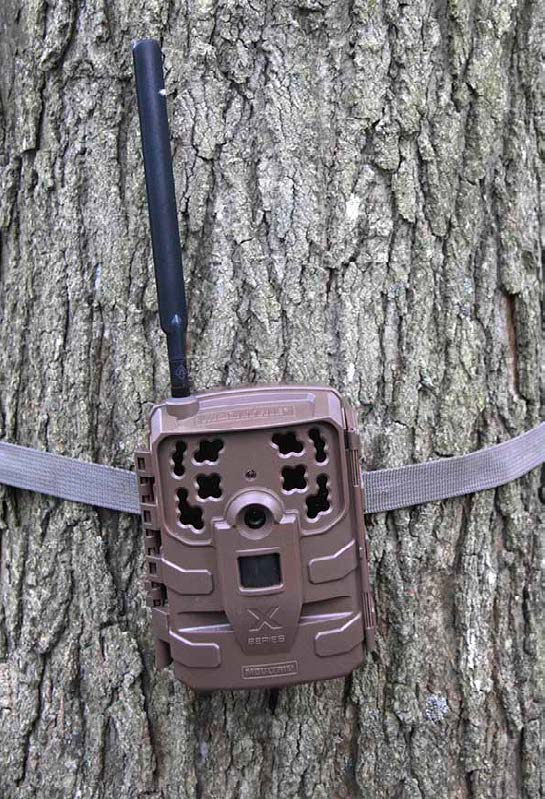 Best Action Capture Cellular Trail Camera: Moultrie’s Delta Base