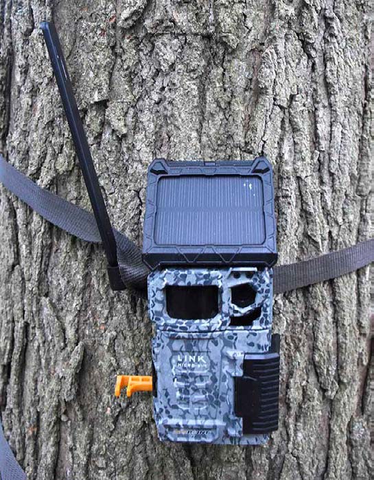 Best Value Cellular Trail Camera: Spypoint’s Link Micro