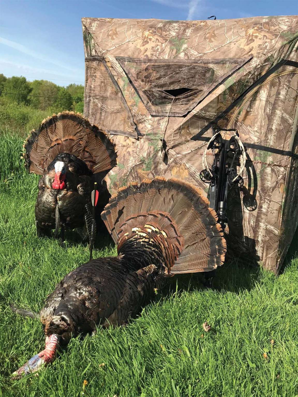 bows-blinds-decoys