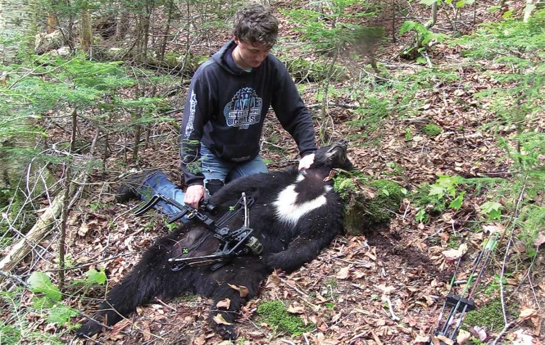 Hunting Black Bears With The Mini Vertical Crossbow Crossbow Magazine