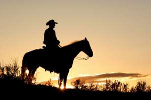 Winter Buffalo Hunt Native Americans on Horseback in Zion