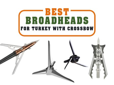 best turkey broadheads cover image