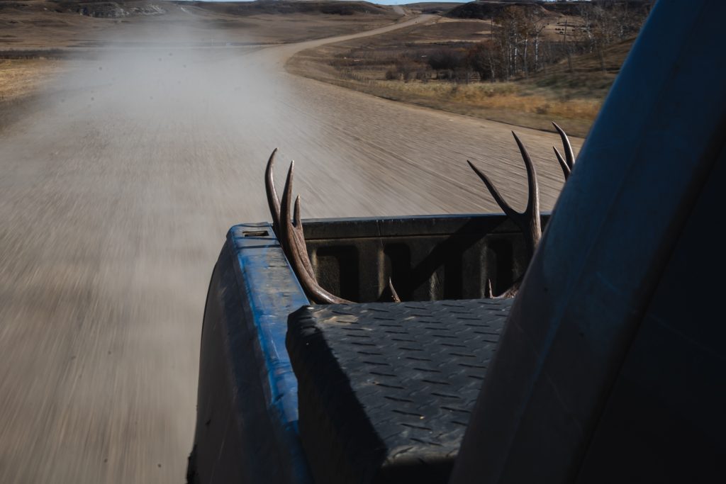 deer horns in a truck