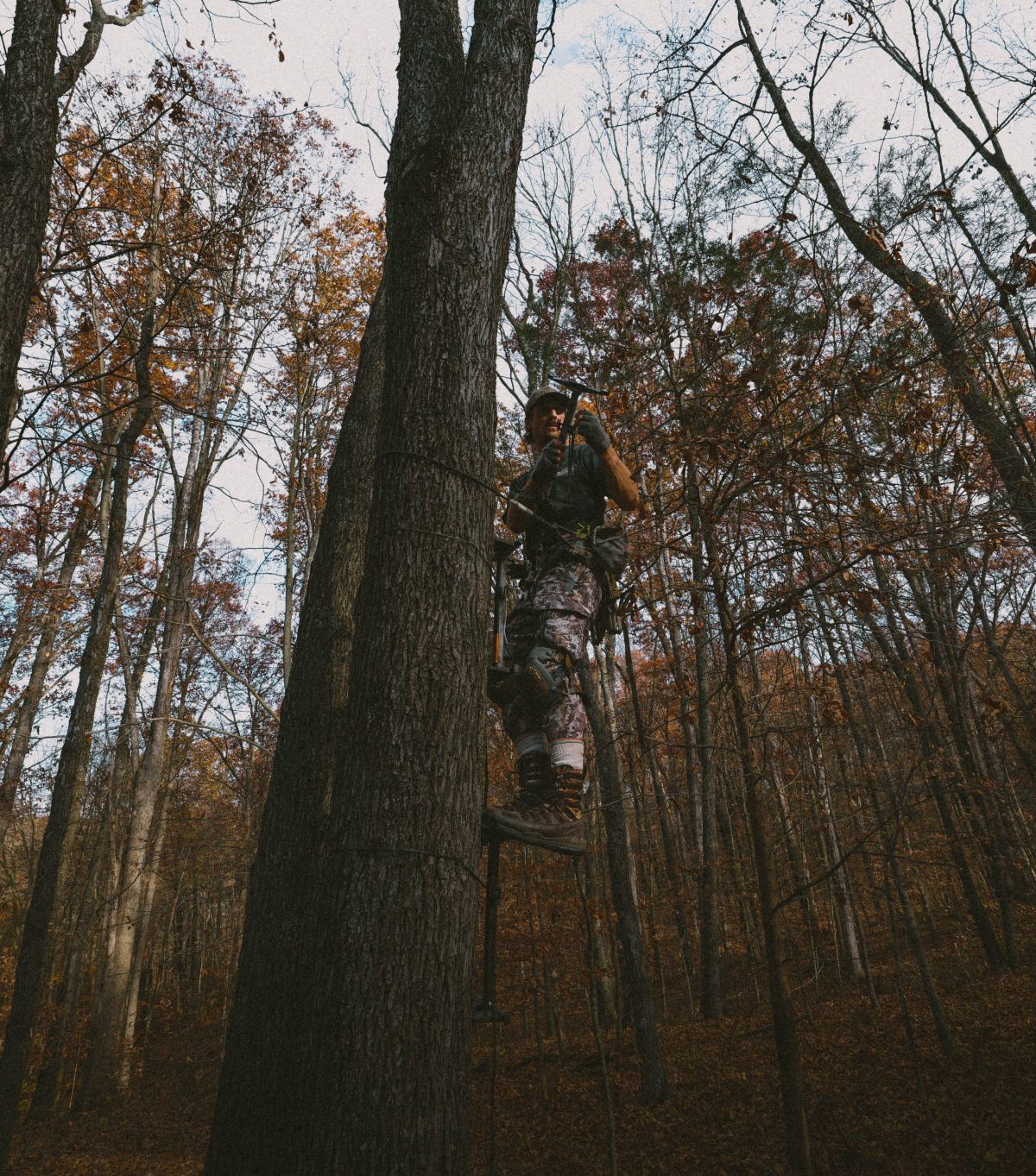 Mastering Mobile Deer Hunting: Techniques for Using Tree Saddles and ...