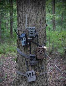 cellular trail cameras