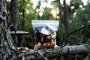 Bag of trail mix (nuts, crackers, chocolate) in a resealable bag balanced on a tree branch in a sunlit forest.